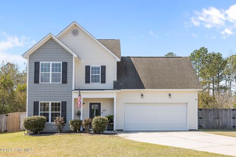 117 Blossom Court Maple Hill NC 28454