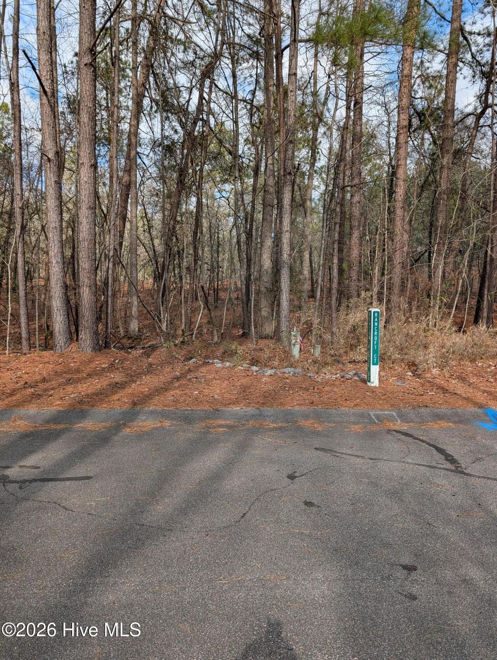 Photo of 102 Bancroft Court, West End, NC 27376 (MLS # 100556359)