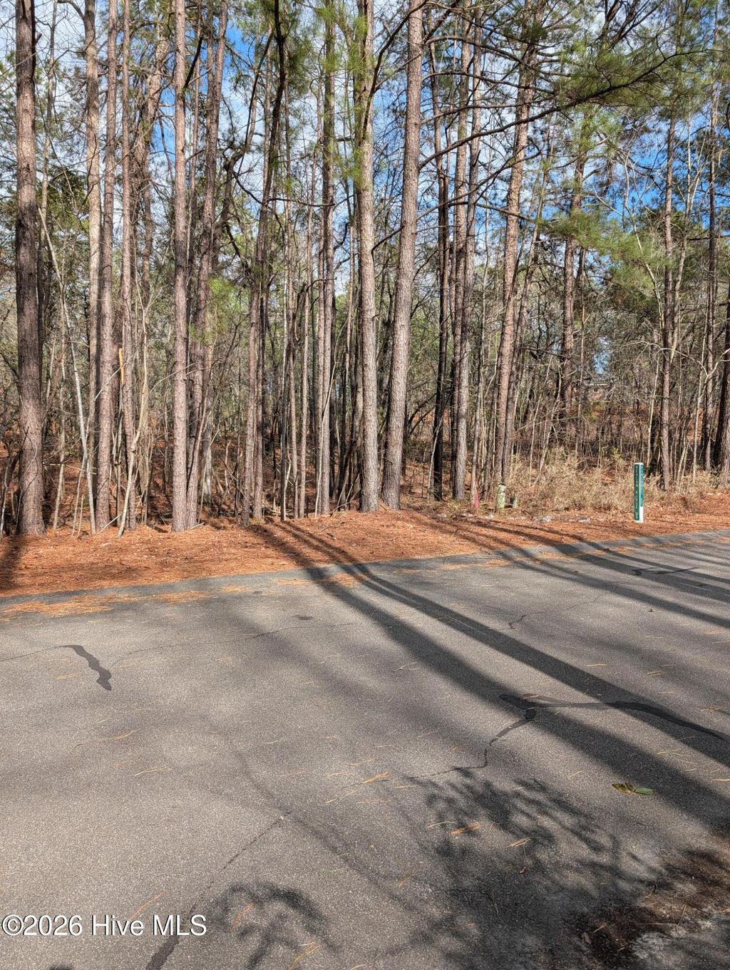 Photo of 102 Bancroft Court, West End, NC 27376 (MLS # 100556359)