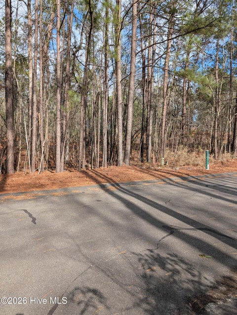 Vacant Land For Sale - 102 Bancroft Court<br/> West End, NC 27376