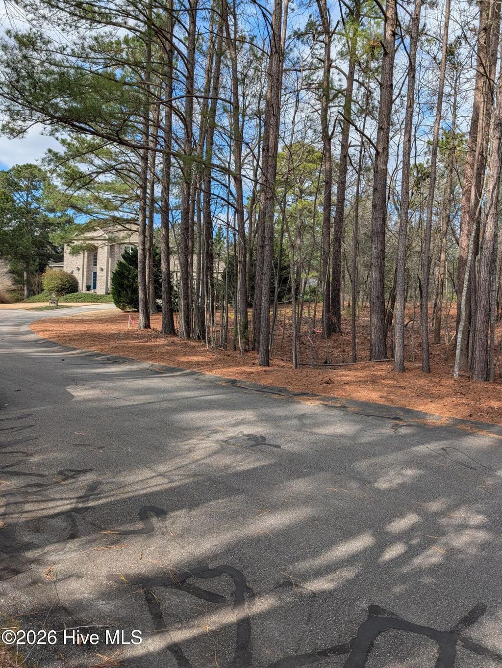 Photo of 102 Bancroft Court, West End, NC 27376 (MLS # 100556359)