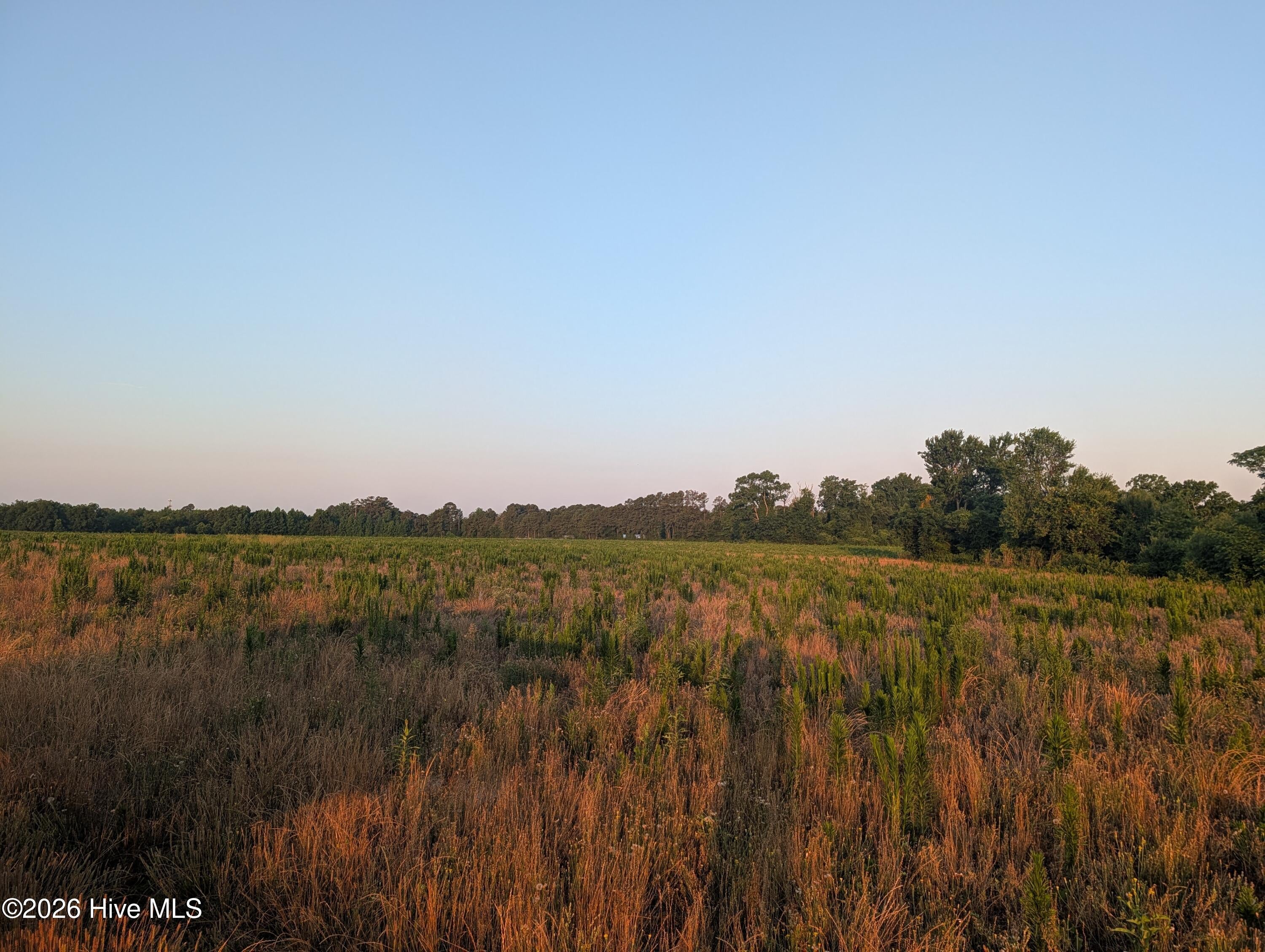 768 Fisher Road, Saint Pauls, NC, 28384