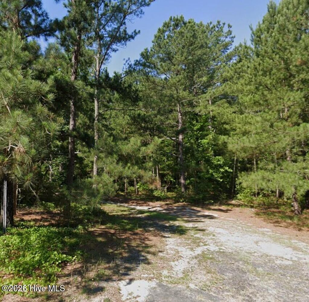 Photo of 18781 Grant Street, Laurinburg, NC 28352 (MLS # 100562502)