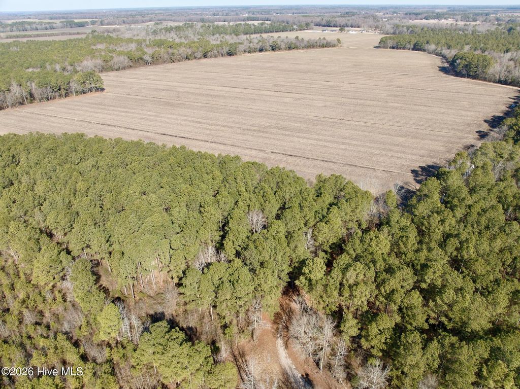 Photo of 0 Sandy Ridge Road, Tyner, NC 27980 (MLS # 100554599)