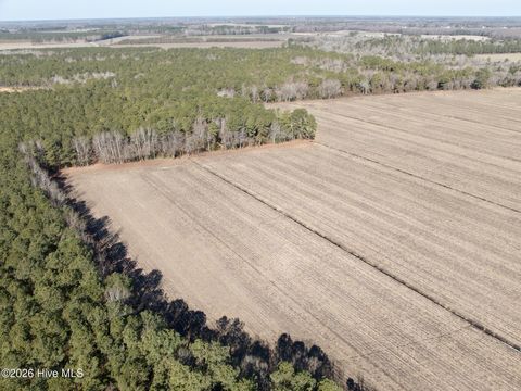 Vacant Land For Sale - Sandy Ridge Road<br/> Tyner, NC 27980