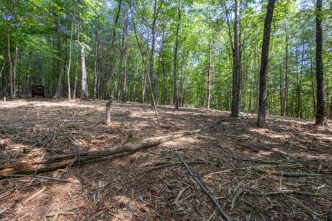 Vacant Land For Sale - 20 AC Pack Mountain Road<br/> Murphy, NC 28906