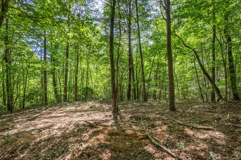 Photo of 20 Pack Mountain Road, Murphy, NC 28906 (MLS # 98544646)