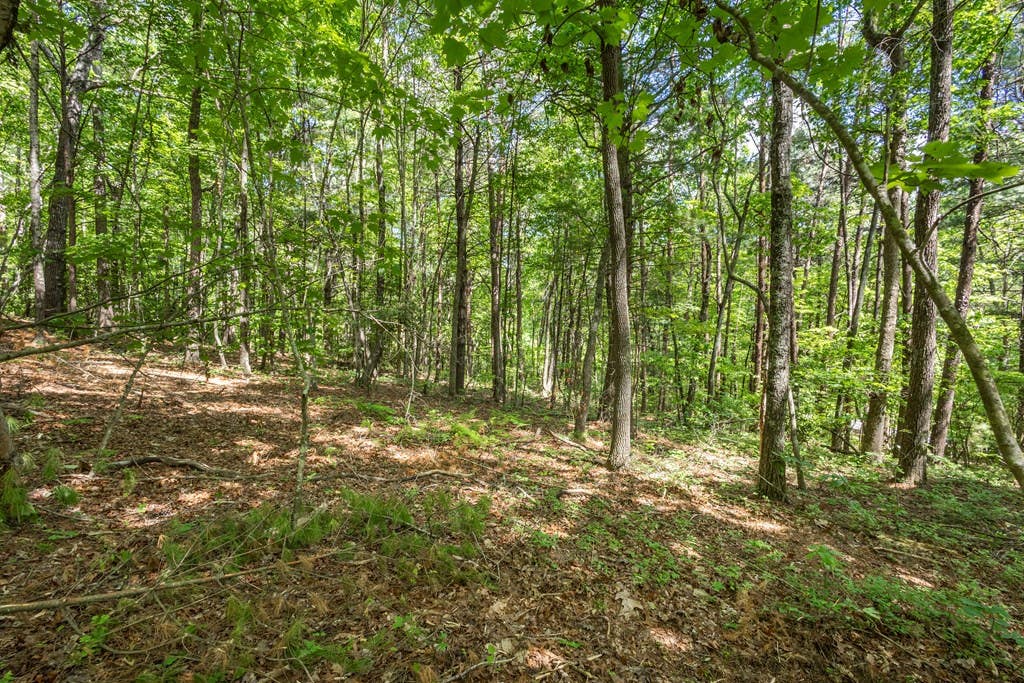 Photo of 20 Pack Mountain Road, Murphy, NC 28906 (MLS # 98544646)
