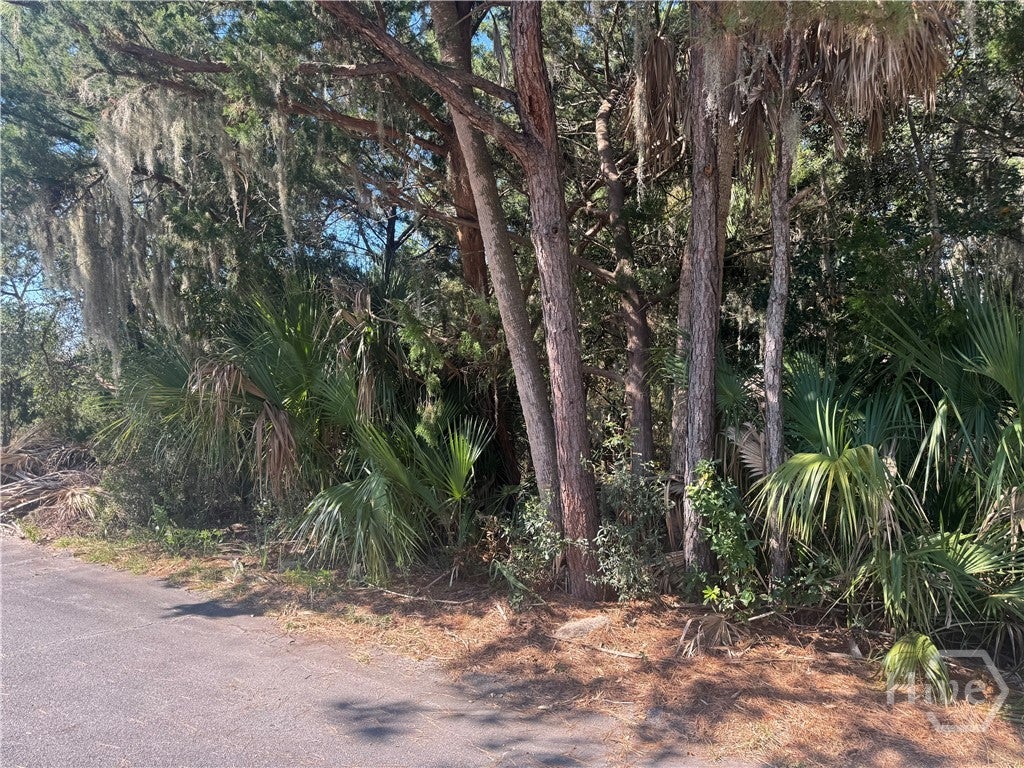 Photo of 3 Shad Court, Savannah, GA 31410 (MLS # SA365605)
