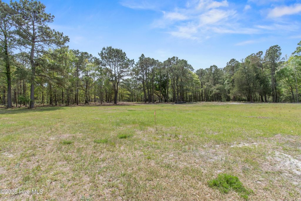 Photo of 3 Old Ferry Connection, Supply, NC 28462 (MLS # 100568984)