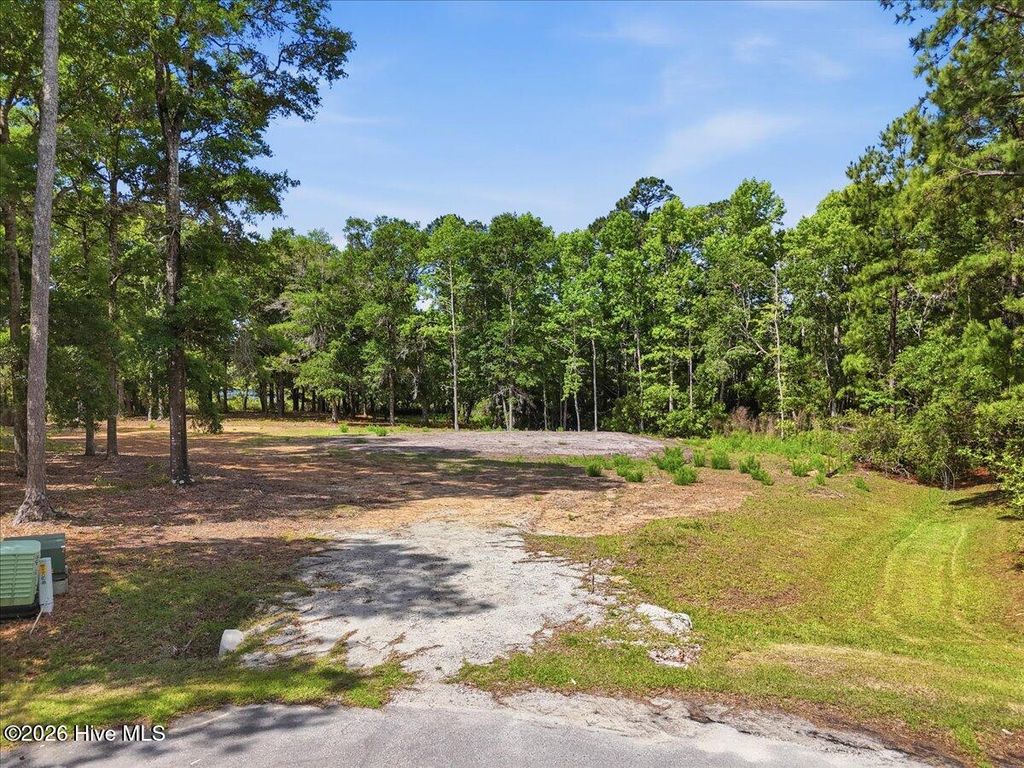 Photo of 3431 Skipping Stone Court SW, Supply, NC (MLS # 100572864)