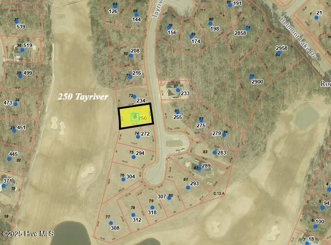 250 Tayriver