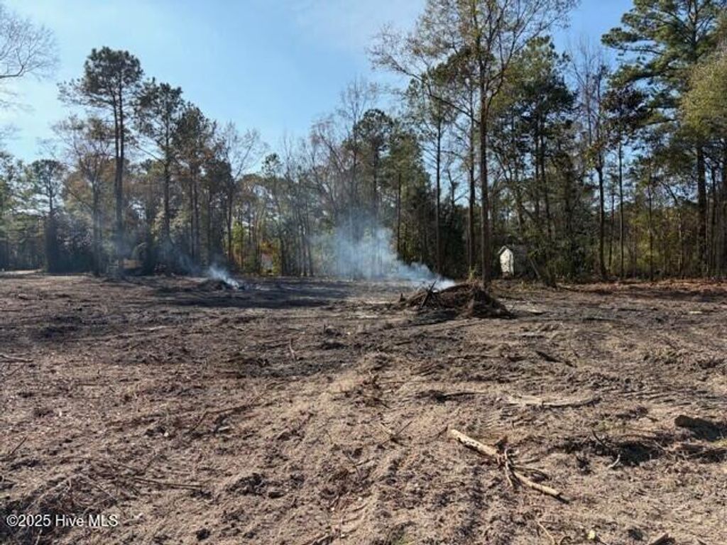 Photo of 4402 Smith Trail NE, Leland, NC 28451 (MLS # 100545590)