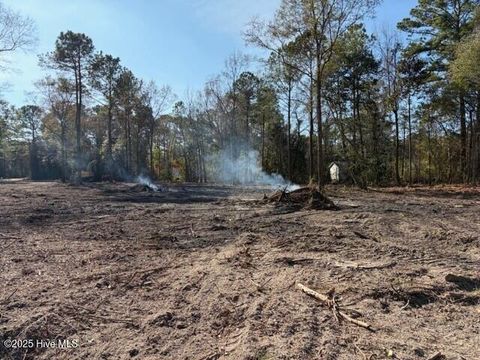 Tiny photo for 4402 Smith Trail NE, Leland, NC 28451 (MLS # 100545590)