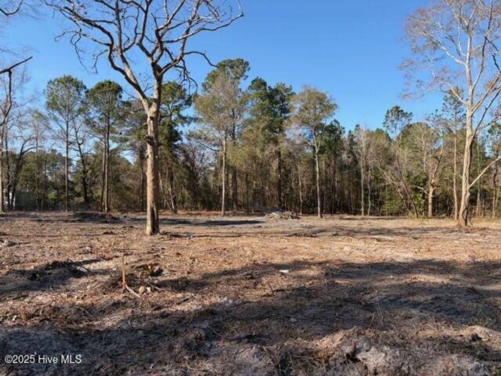 Photo of 4402 Smith Trail NE, Leland, NC 28451 (MLS # 100545590)