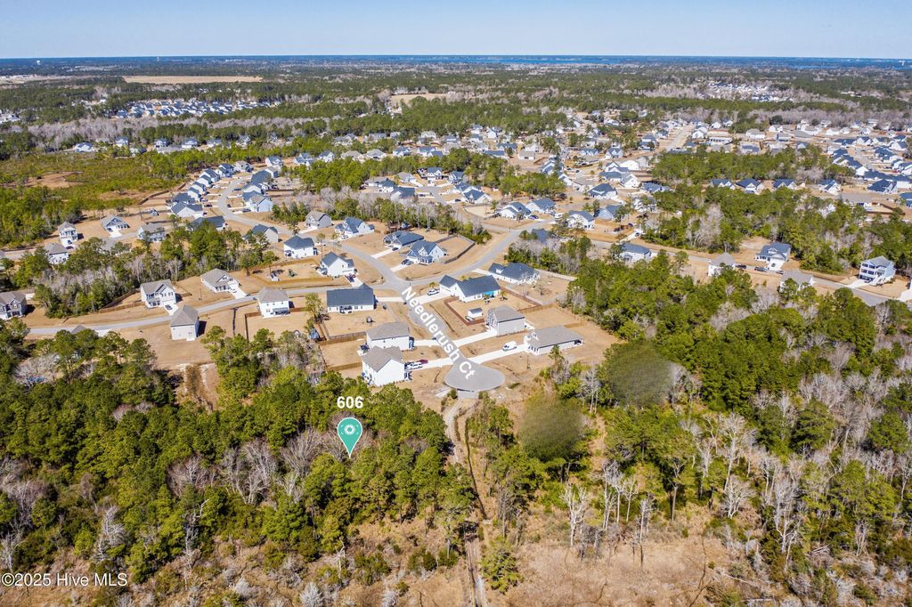 Photo of 606 Needlerush Court, Sneads Ferry, NC 28460 (MLS # 100523778)