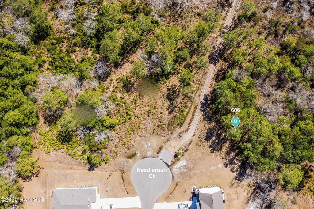 Photo of 606 Needlerush Court, Sneads Ferry, NC 28460 (MLS # 100523778)