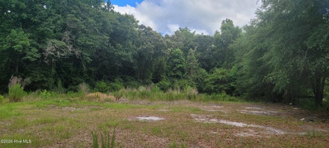 Tiny photo for 28379 Nc Hwy 210, Currie, NC 28435 (MLS # 100583834)