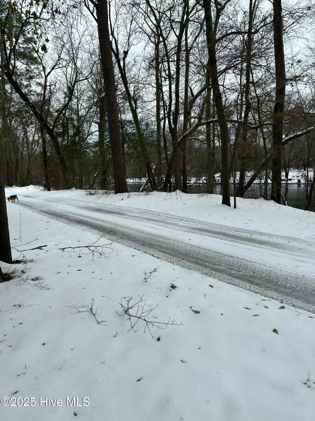 Photo of 18 Riverview Drive, Burgaw, NC 28425 (MLS # 100485381)