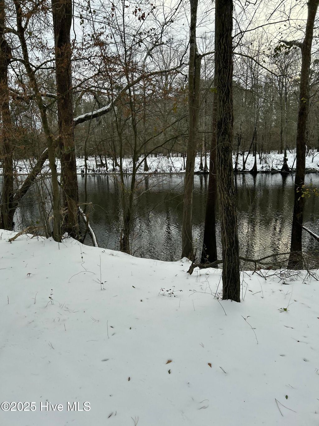 Photo of 18 Riverview Drive, Burgaw, NC 28425 (MLS # 100485381)