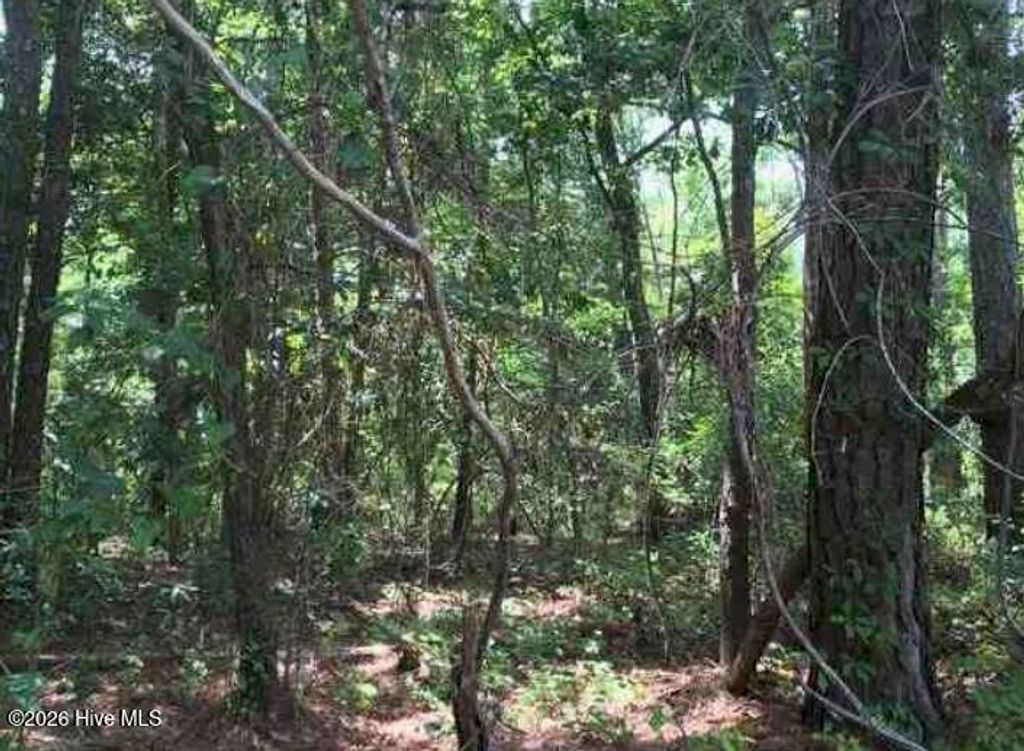 Photo of 4632 Bluff Drive, Shallotte, NC 28470 (MLS # 100567386)