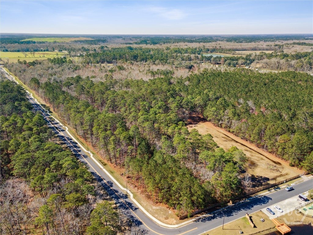 Photo of 155 Willow Lakes Drive, Savannah, GA 31419 (MLS # SA358141)