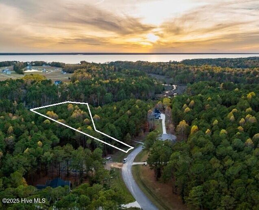 Photo of 89 Willow Cove Lane, Minnesott Beach, NC 28510 (MLS # 100533209)