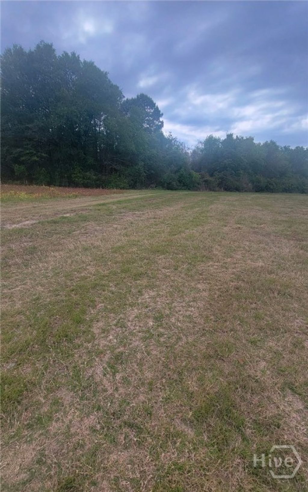 Photo of 481 NE S T Morris Road, Ludowici, GA 31316 (MLS # SA346046)