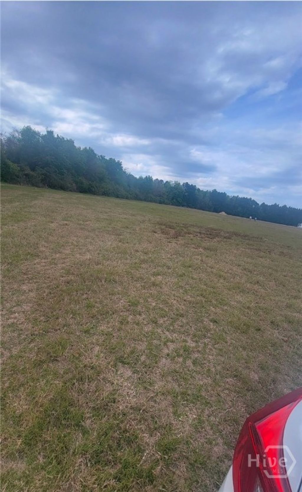 Photo of 481 NE S T Morris Road, Ludowici, GA 31316 (MLS # SA346046)