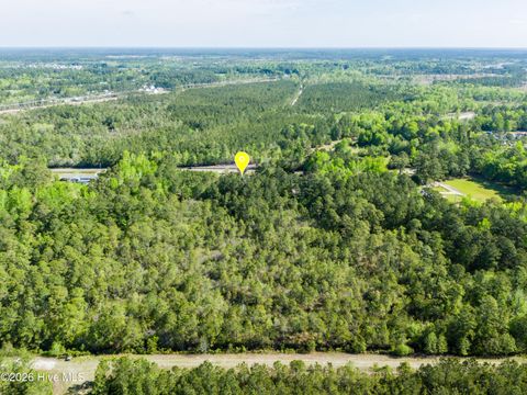 Tiny photo for 866 Harrison Creek Road, Rocky Point, NC 28457 (MLS # 100567063)