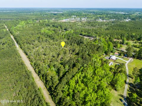 Tiny photo for 866 Harrison Creek Road, Rocky Point, NC 28457 (MLS # 100567063)