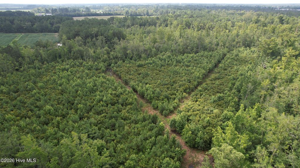 Photo of 421 Riverneck Road, Columbia, NC 27925 (MLS # 100566427)