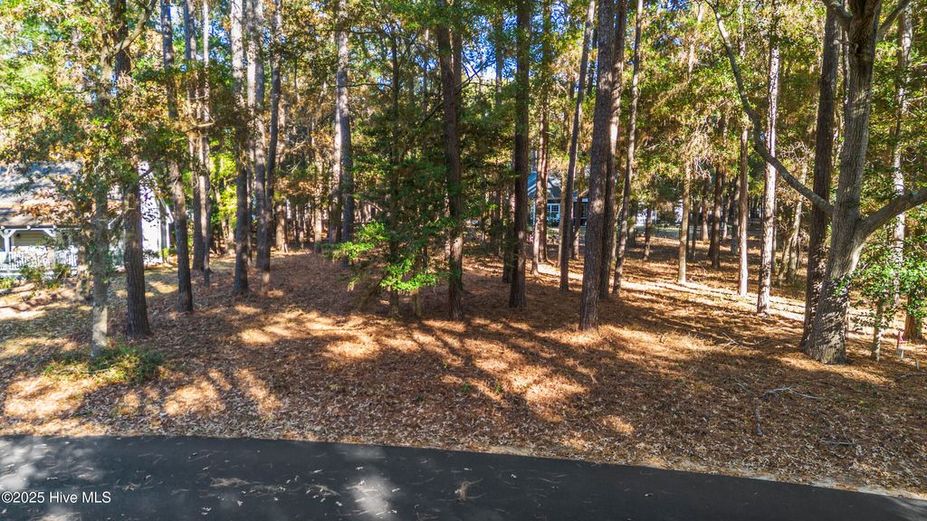 Photo of 600 Lockwood Court SE, Bolivia, NC 28422 (MLS # 100545311)