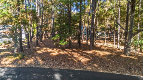 Tiny photo for 600 Lockwood Court SE, Bolivia, NC 28422 (MLS # 100545311)