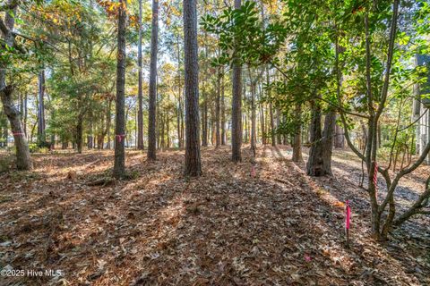 Tiny photo for 600 Lockwood Court SE, Bolivia, NC 28422 (MLS # 100545311)