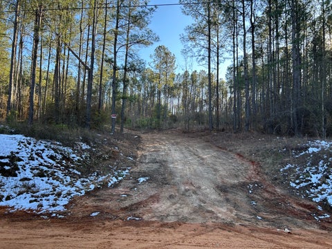 Vacant Land For Sale - 3229 Keysville-boggs Academy Road<br/> Keysville, GA 30816