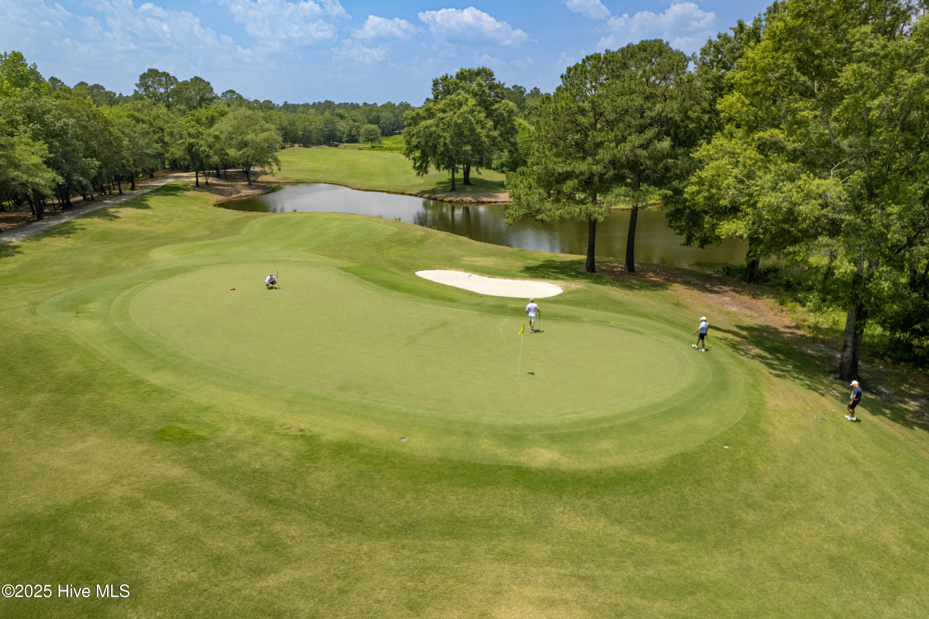 Wallace, North Carolina 28466, United States, ,Land,Active,255640