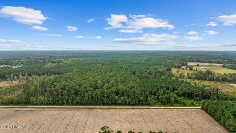 Vacant Land For Sale - 36AC Near 323 Indigo Flats Road<br/> Tabor City, NC 28463