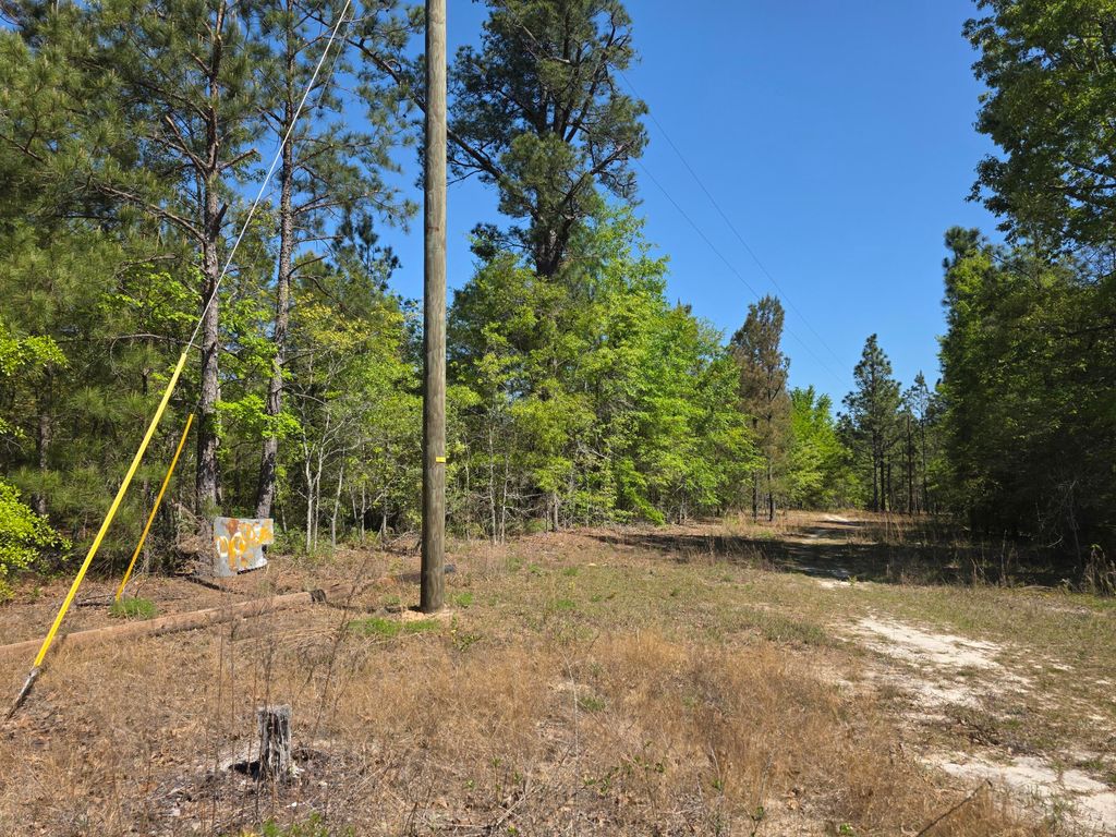 Photo of 4 Briarwood Drive, Williston, SC 29853 (MLS # 554367)