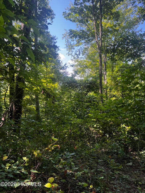 Vacant Land For Sale - 00 Kenneths Cove Cv<br/> Topton, NC 28781