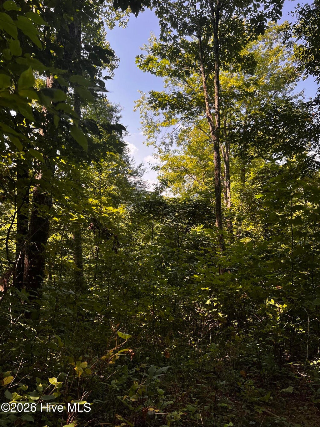 Photo of 00 Kenneths Cove CV, Topton, NC 28781 (MLS # 100604291)