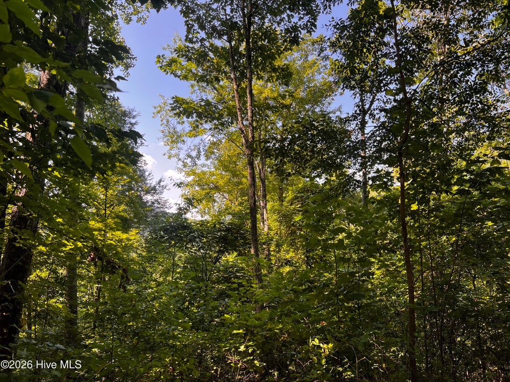 Photo of 00 Kenneths Cove CV, Topton, NC 28781 (MLS # 100604291)