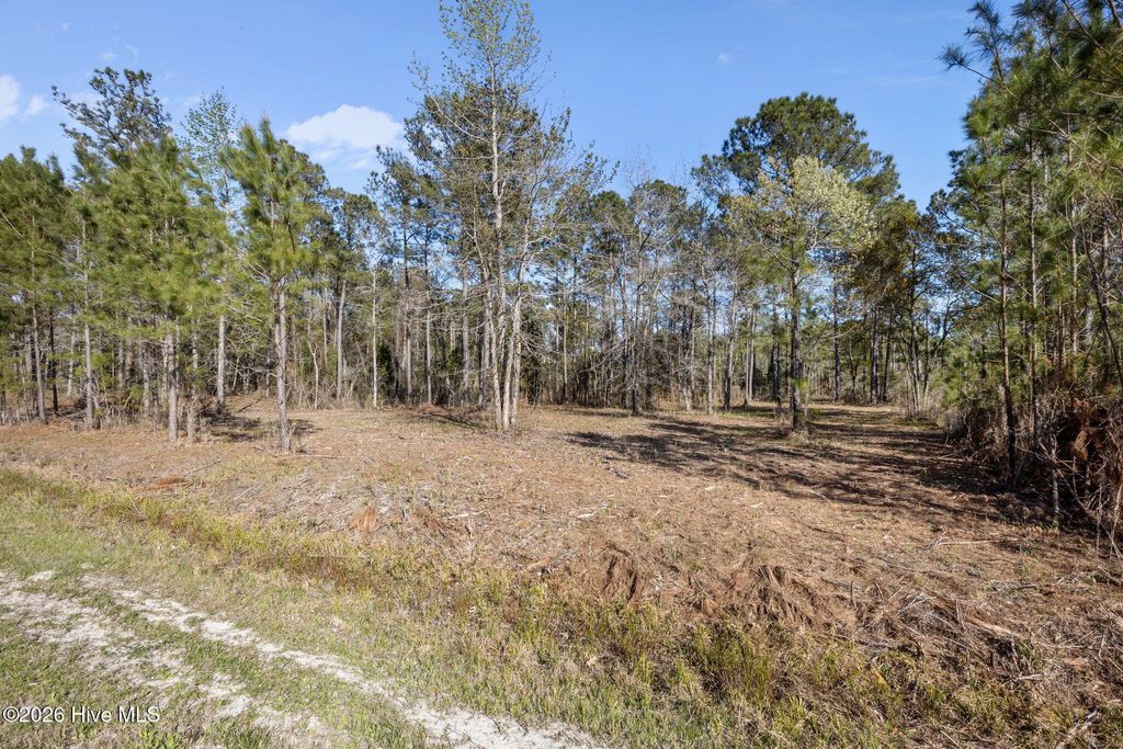 Photo of 168 Shell Castle Lane, Vandemere, NC 28587 (MLS # 100567399)