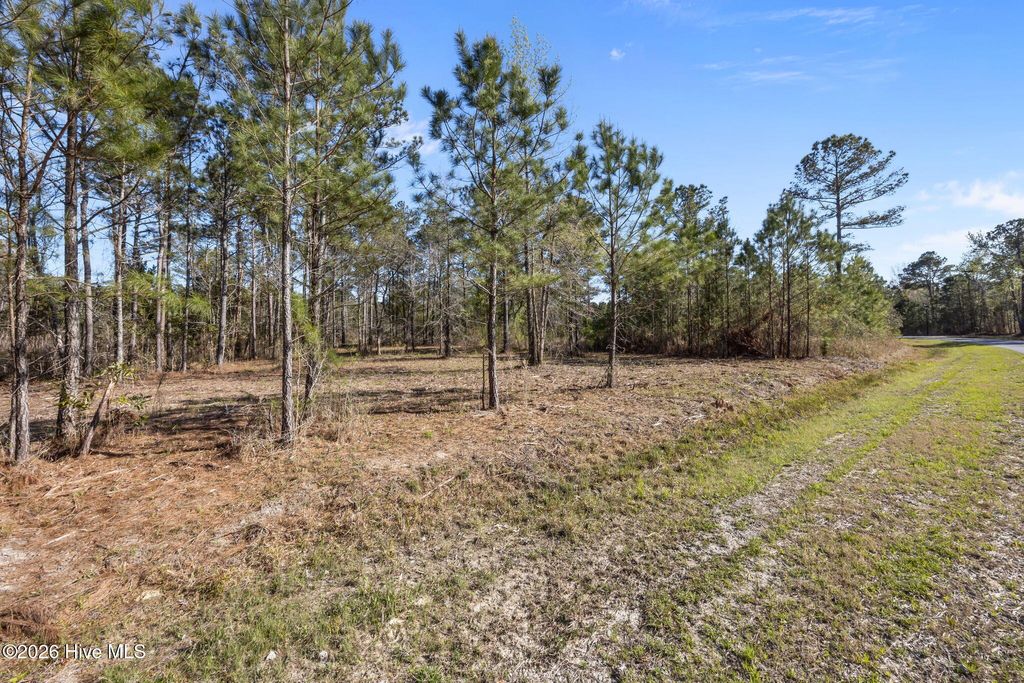 Photo of 168 Shell Castle Lane, Vandemere, NC 28587 (MLS # 100567399)