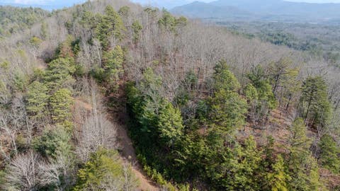 Vacant Land For Sale - 2.57 Scottie Mountain Circle<br/> Murphy, NC 28906