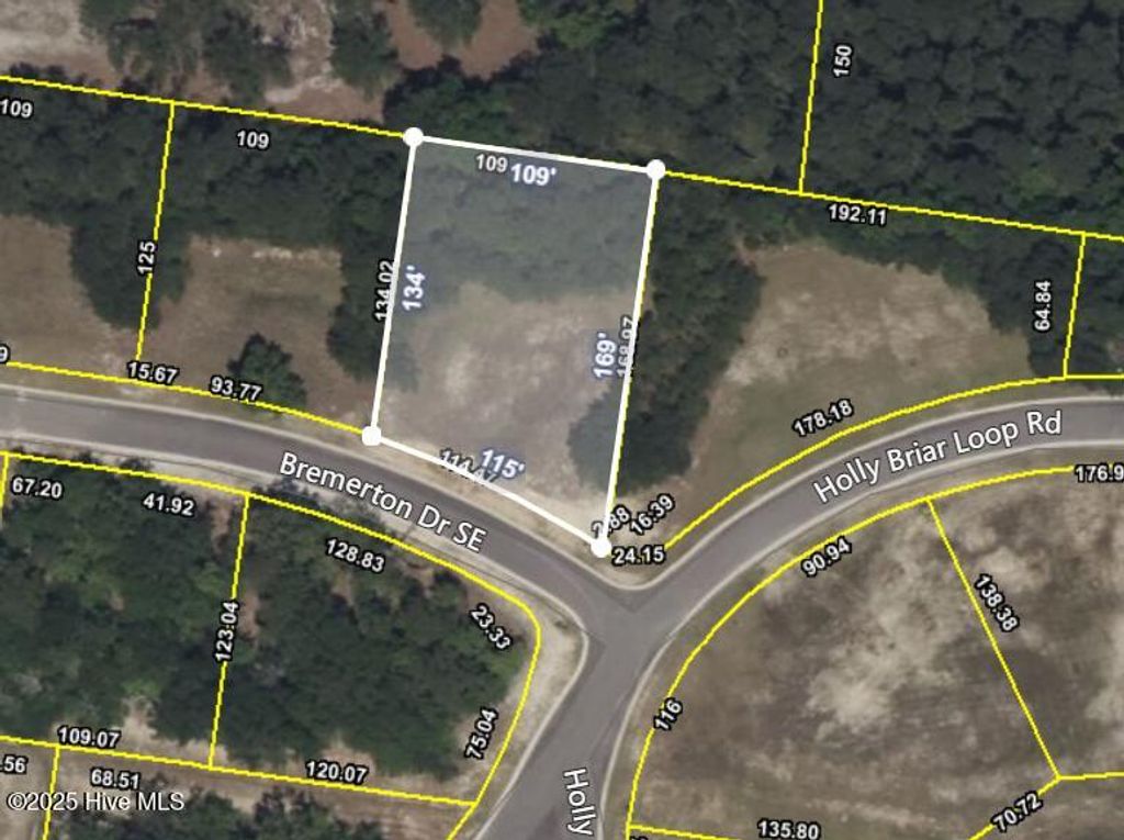 Photo of 152 Bremerton Drive SE, Bolivia, NC 28422 (MLS # 100535824)