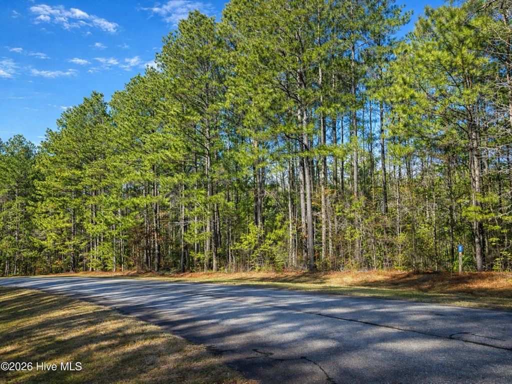 Photo of 196 Sunset Ridge, Rockingham, NC 28379 (MLS # 100552135)