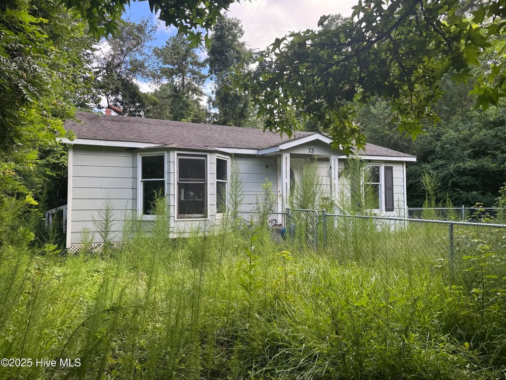 Photo of 75 Pennsylvania Avenue, Rocky Point, NC 28457 (MLS # 100534735)