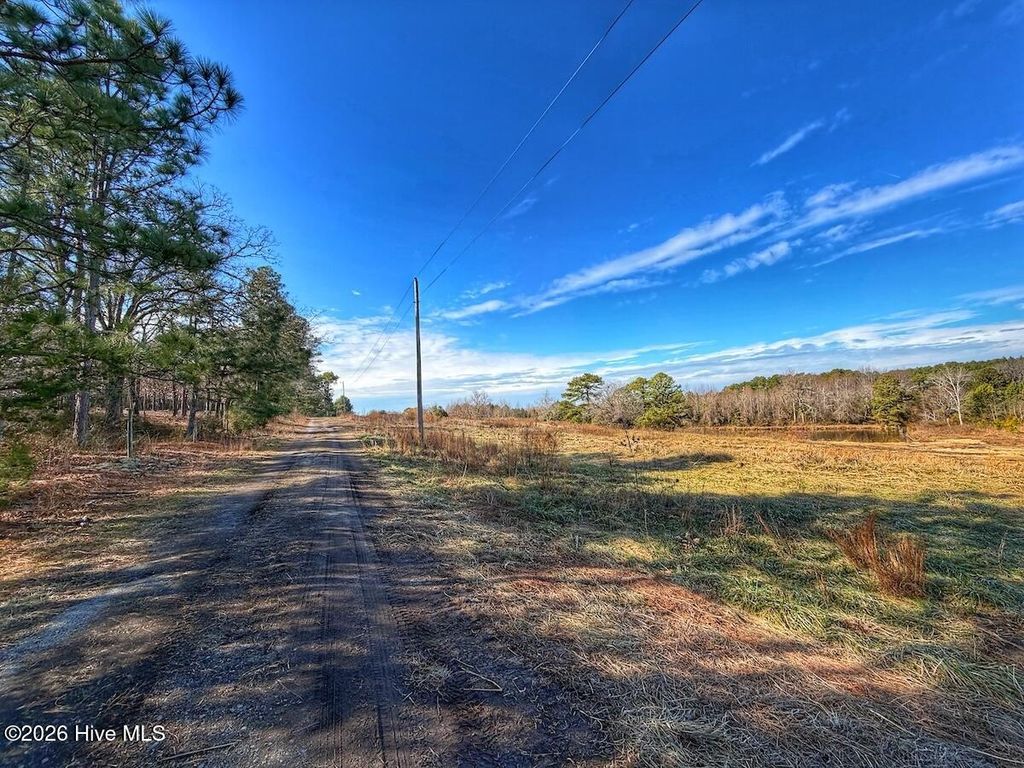Photo of 1474 Hillmon Grove Road, Cameron, NC 28326 (MLS # 100551402)