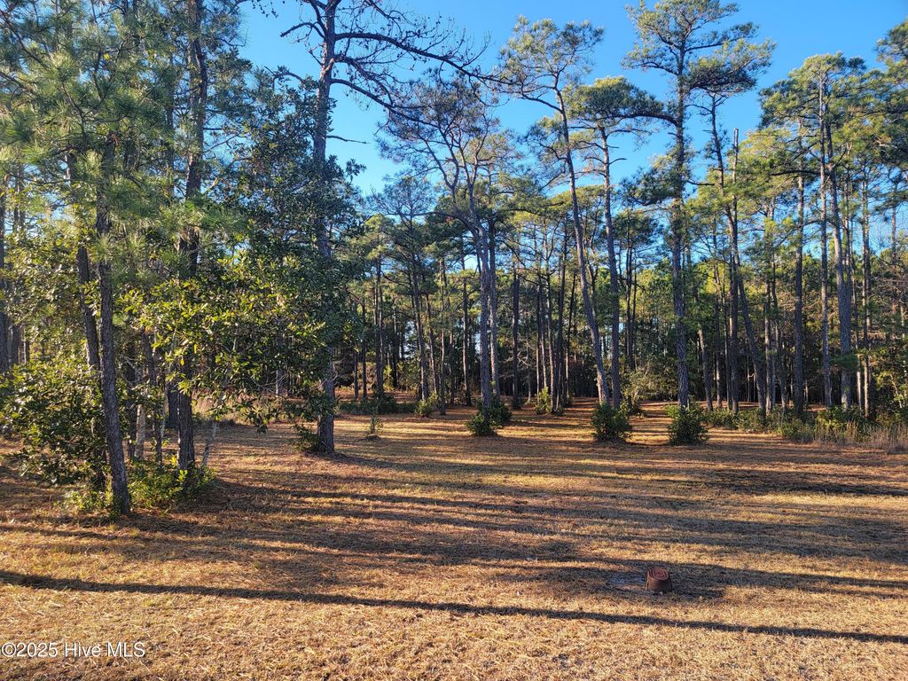 Photo of 6727 Dunlowe Notch SW, Ocean Isle Beach, NC 28469 (MLS # 100545021)